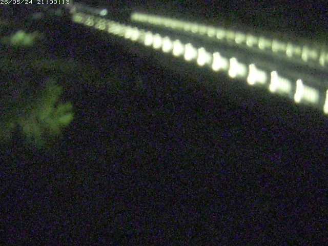 精進川１2026/05/25 21:40:00