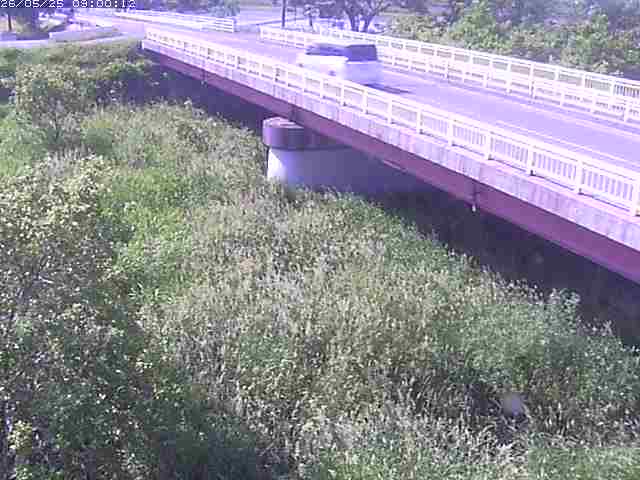精進川１2026/05/25 21:40:00