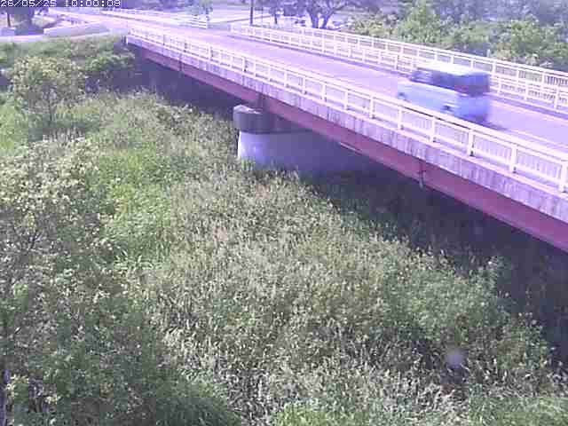 精進川１2026/05/25 21:40:00
