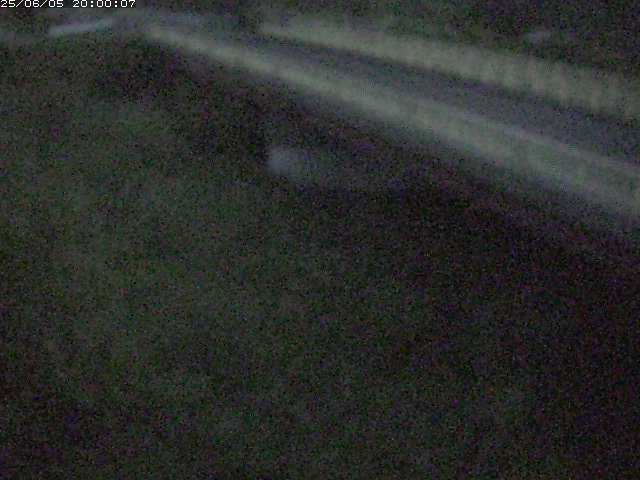 精進川１2025/06/06 1:30:00
