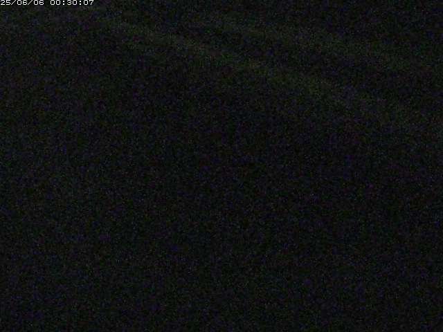 精進川１2025/06/06 1:30:00