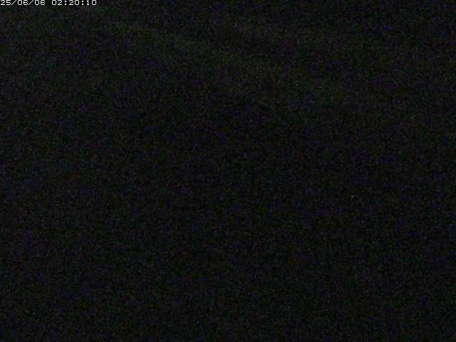 精進川１2025/06/06 2:30:00