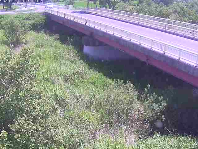 精進川１2026/07/14 15:20:00