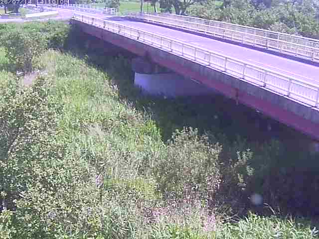 精進川１2026/07/14 15:20:00
