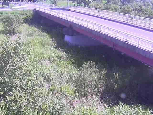 精進川１2026/07/14 15:20:00