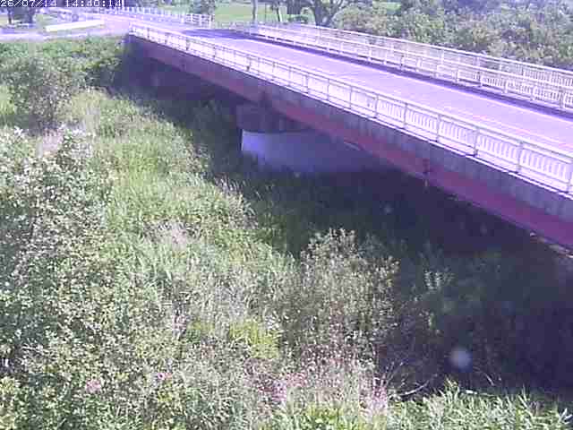 精進川１2026/07/14 15:20:00