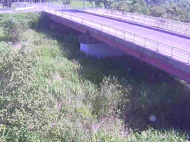 精進川１2026/07/14 15:20:00