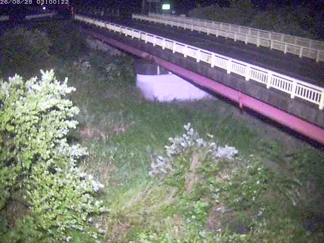 精進川１2026/08/28 17:00:00