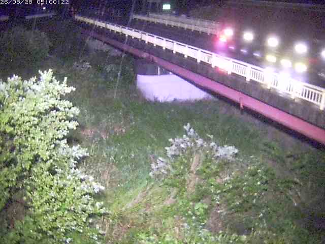 精進川１2026/08/28 17:00:00
