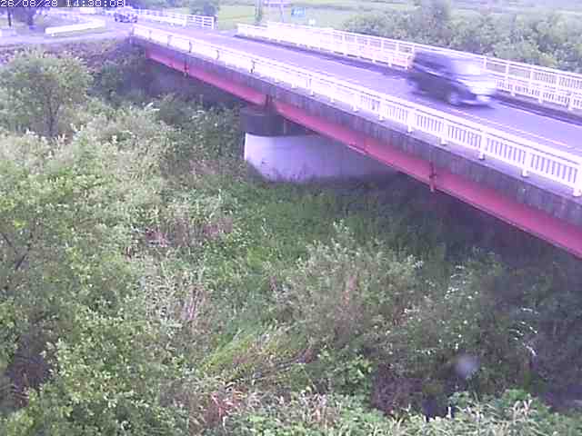 精進川１2026/08/28 17:00:00