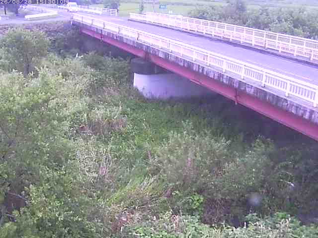 精進川１2026/08/28 17:00:00