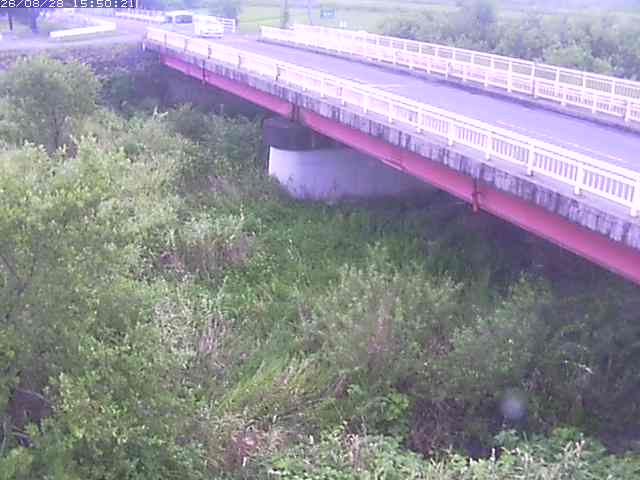 精進川１2026/08/28 17:00:00