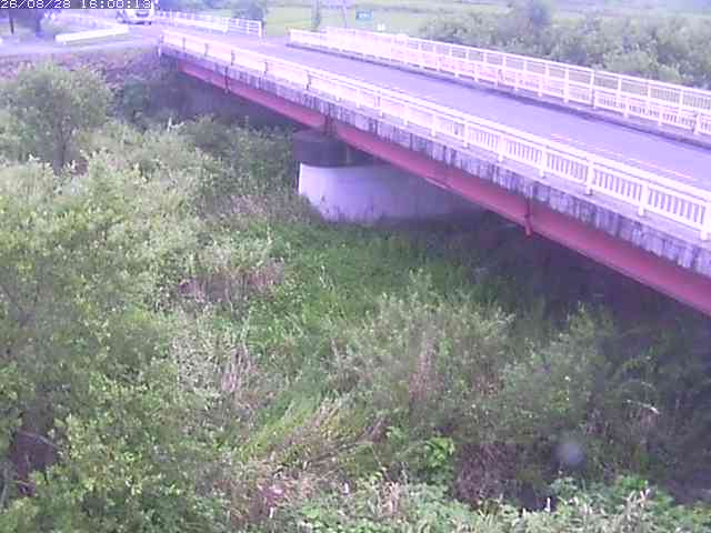 精進川１2026/08/28 17:00:00