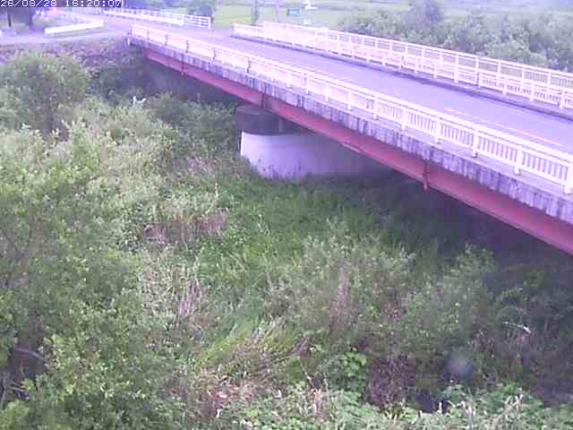 精進川１2026/08/28 17:00:00
