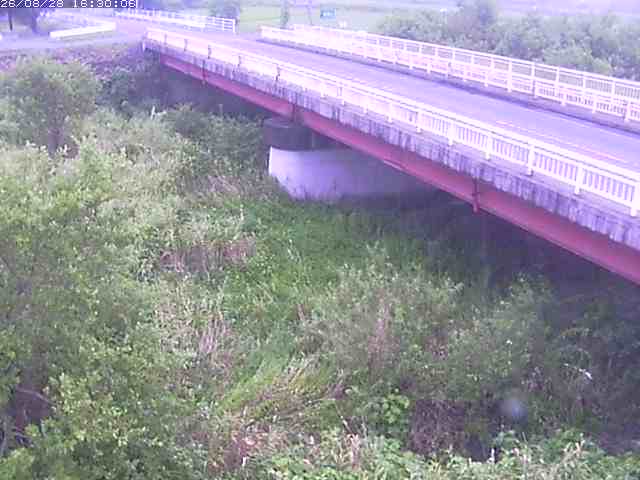 精進川１2026/08/28 17:00:00