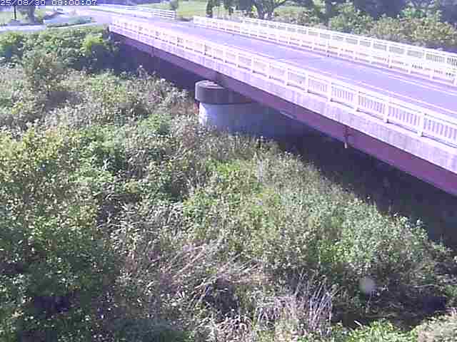 精進川１2025/08/31 9:10:00