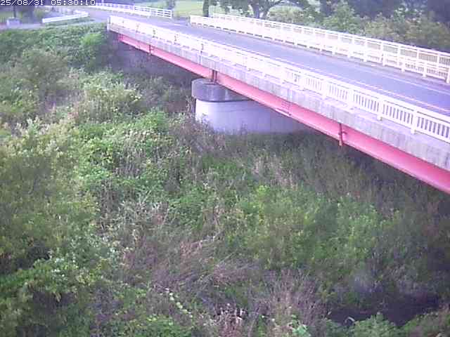 精進川１2025/08/31 9:10:00