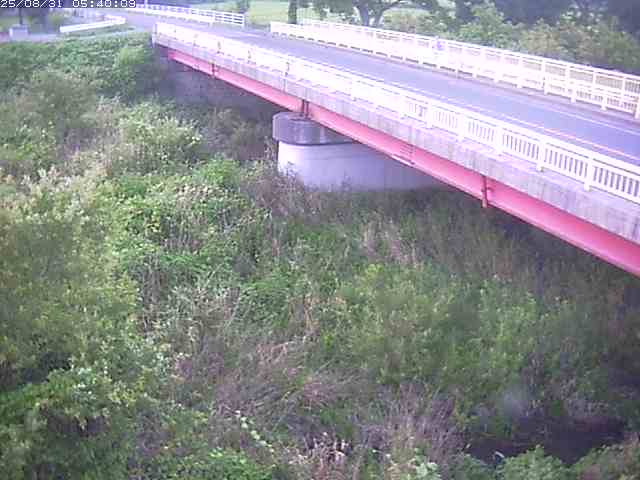 精進川１2025/08/31 9:10:00