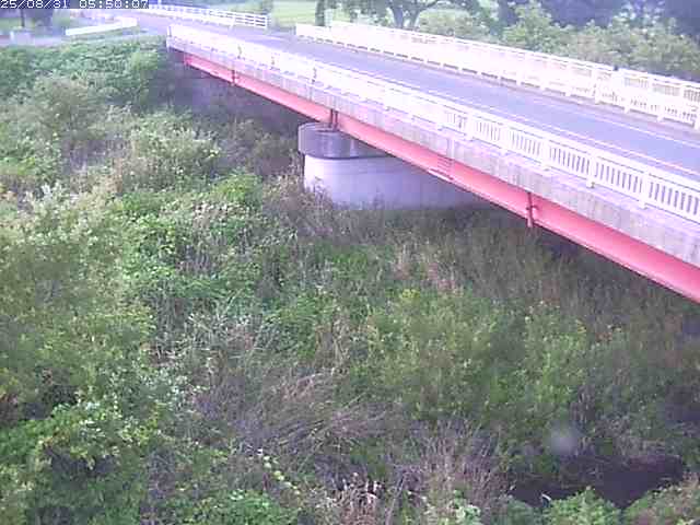 精進川１2025/08/31 9:10:00