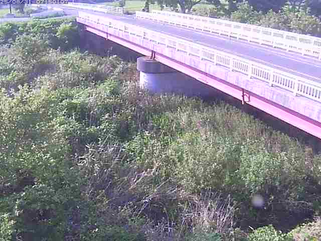 精進川１2025/08/31 9:10:00