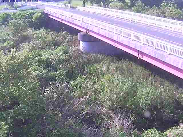 精進川１2025/08/31 9:10:00