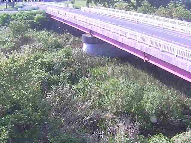 精進川１2025/08/31 9:10:00