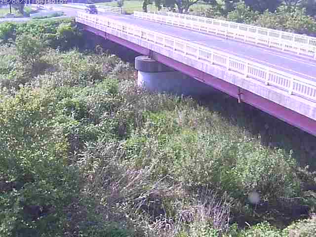 精進川１2025/08/31 9:10:00