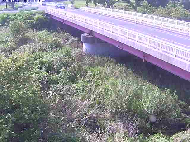 精進川１2025/08/31 9:10:00