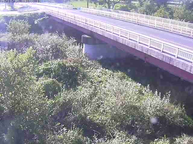 精進川12025/10/31 08:00