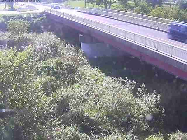 精進川12025/10/31 08:00