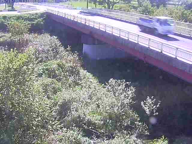 精進川12025/10/31 08:00