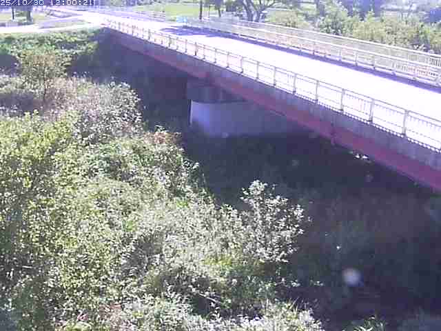 精進川12025/10/31 08:00