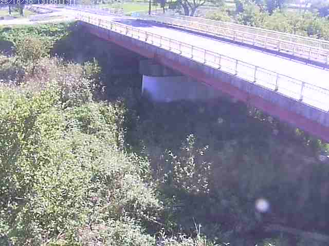 精進川12025/10/31 08:00