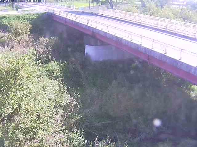 精進川12025/10/31 08:00