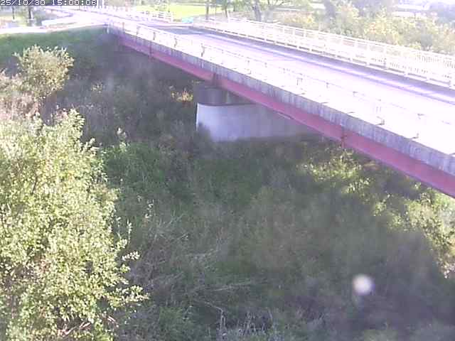 精進川12025/10/31 08:00