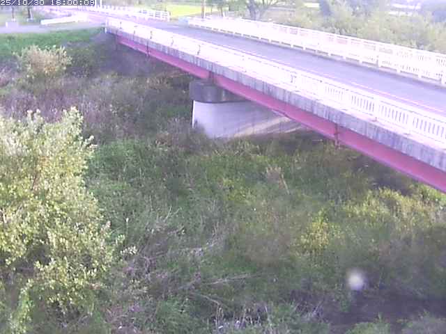 精進川12025/10/31 08:00