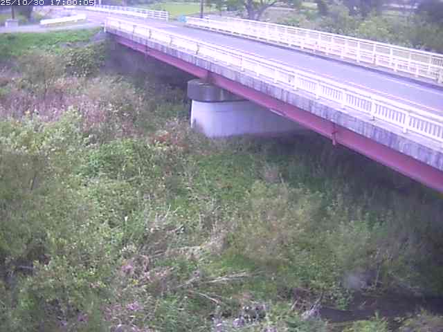 精進川12025/10/31 08:00