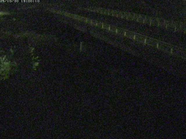 精進川12025/10/31 08:00