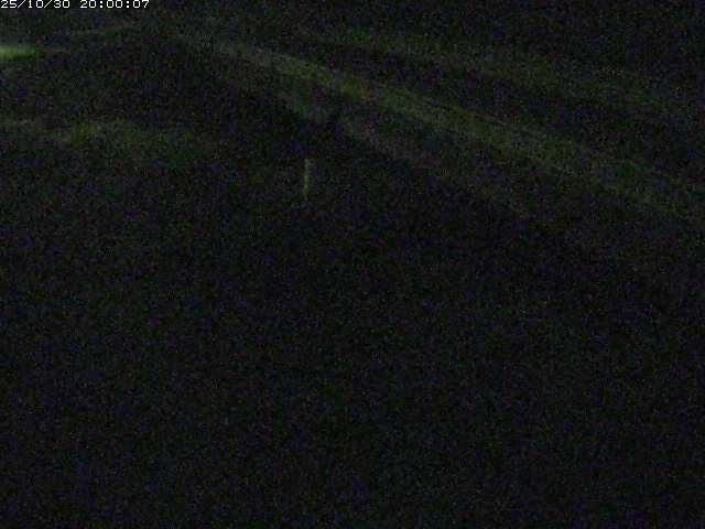 精進川12025/10/31 08:00