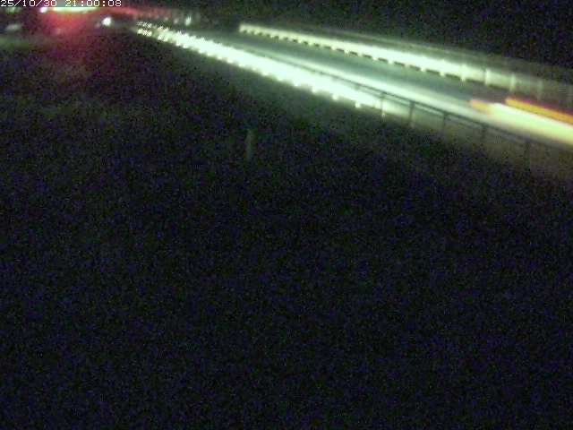 精進川12025/10/31 08:00