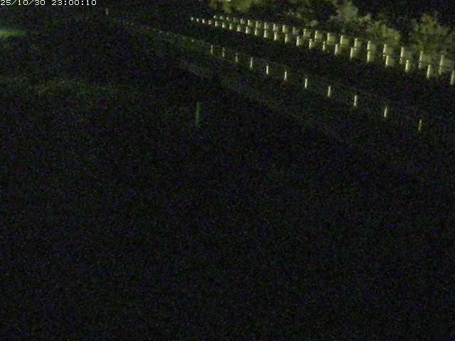 精進川12025/10/31 08:00