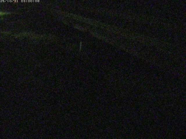 精進川12025/10/31 08:00