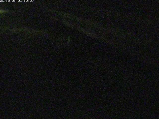 精進川12025/10/31 08:00