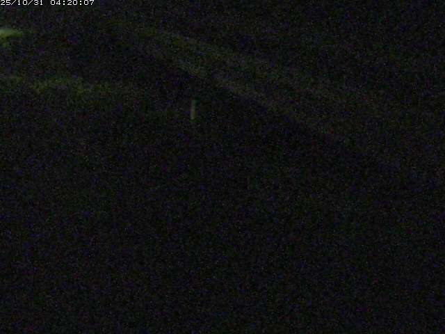 精進川12025/10/31 08:00