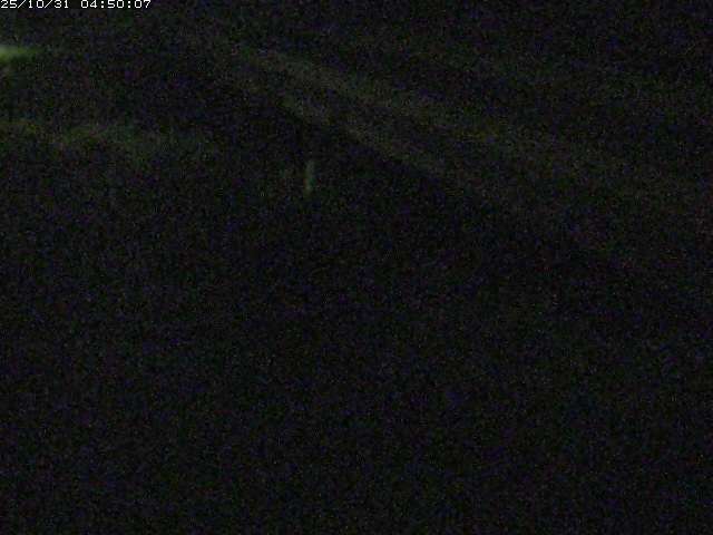 精進川12025/10/31 08:00