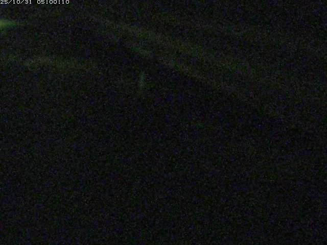 精進川12025/10/31 08:00