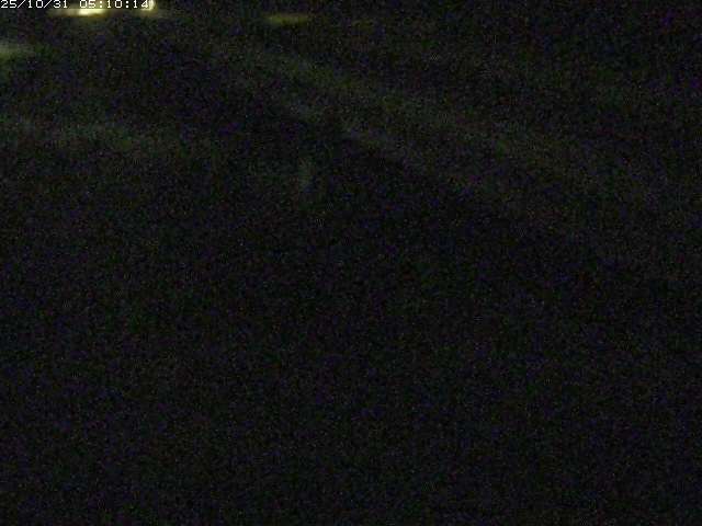 精進川12025/10/31 08:00