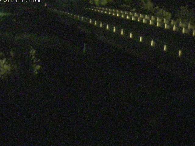 精進川12025/10/31 08:00