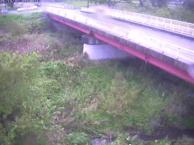 精進川12025/10/31 08:00