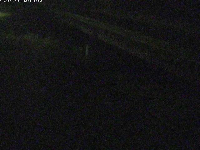 精進川１2025/12/22 0:50:00